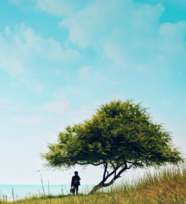 Семейни традиции